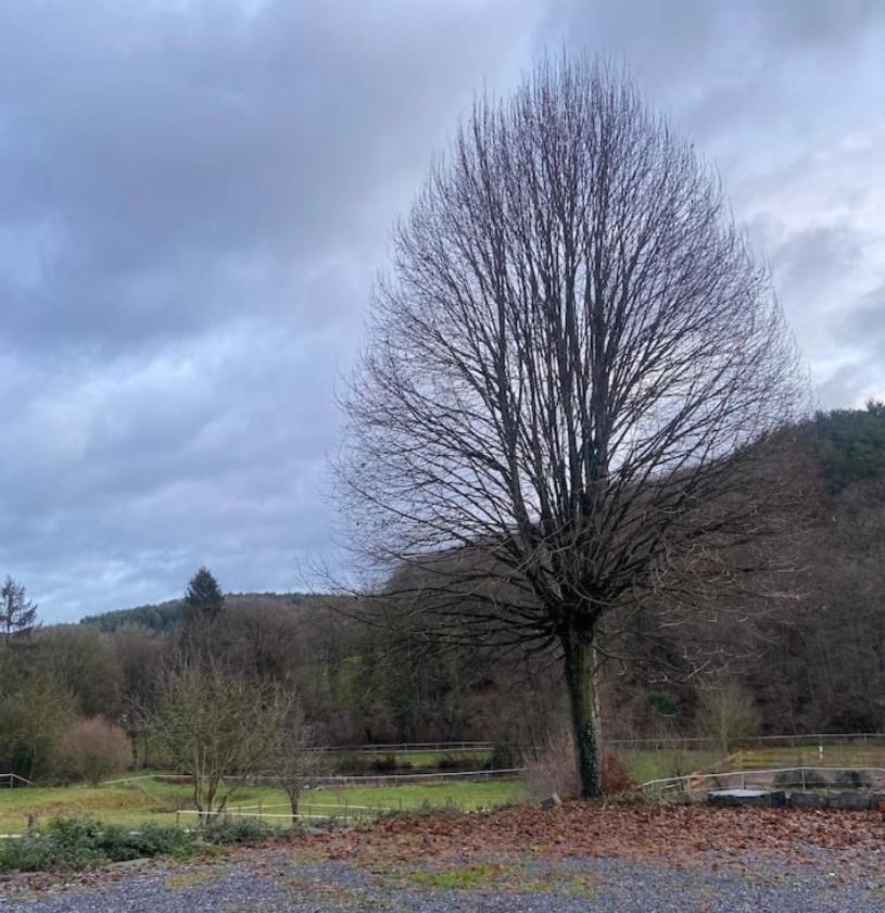 AndenneLe Ranch Des Aguesses别墅 外观 照片