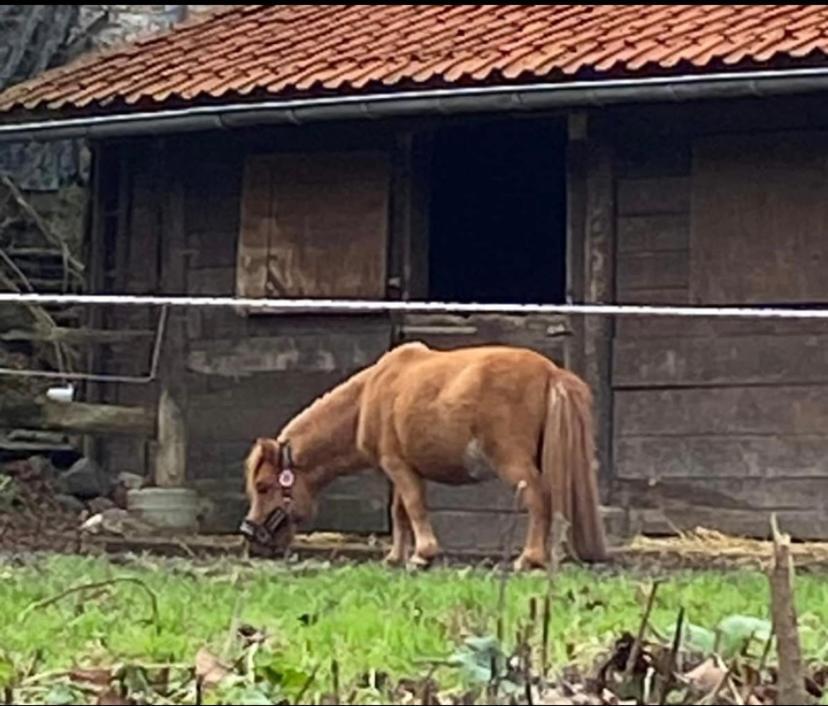 AndenneLe Ranch Des Aguesses别墅 外观 照片