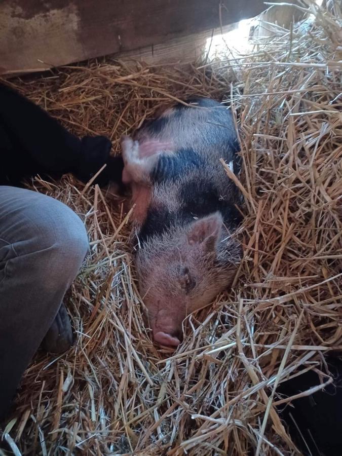 AndenneLe Ranch Des Aguesses别墅 外观 照片