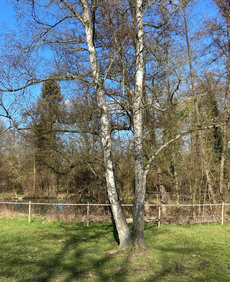 AndenneLe Ranch Des Aguesses别墅 外观 照片