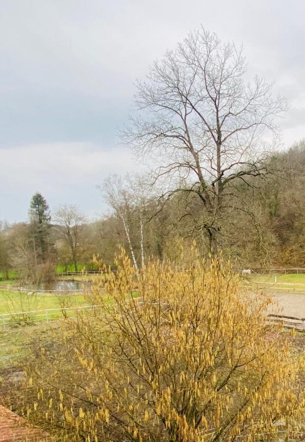AndenneLe Ranch Des Aguesses别墅 外观 照片