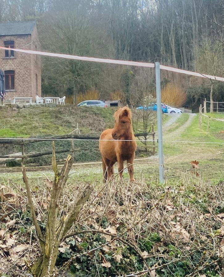 AndenneLe Ranch Des Aguesses别墅 外观 照片